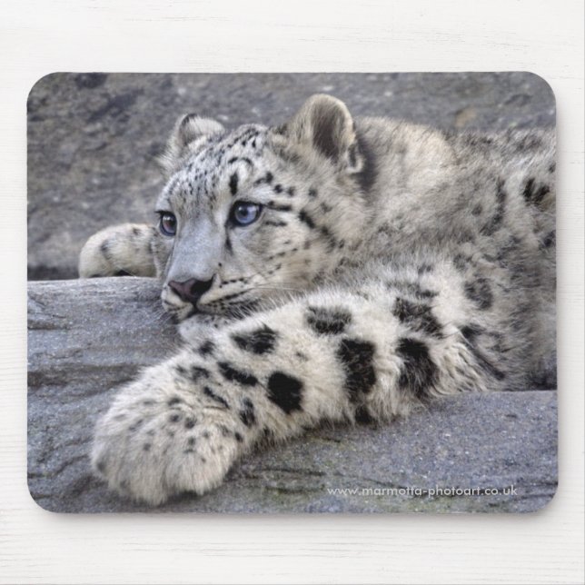 Alla lekte ut Mousemat Musmatta (Framsidan)