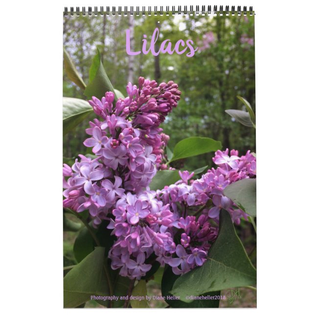 ALLA LILACS!  fotokalender Kalender (Omslag)