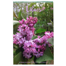 ALLA LILACS!  fotokalender