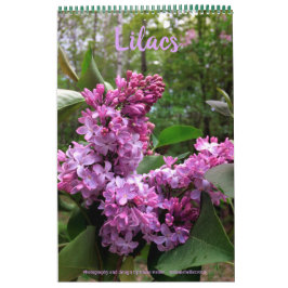 ALLA LILACS!  fotokalender Kalender