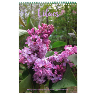 ALLA LILACS! fotokalender Kalender