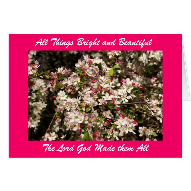 Alla Sak Bright och Beautifu.. Hälsningskort (Framsidan Horizontal)