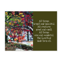 Alla Sak-ljusa och vackra