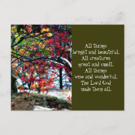 Alla Sak-ljusa och vackra Vykort