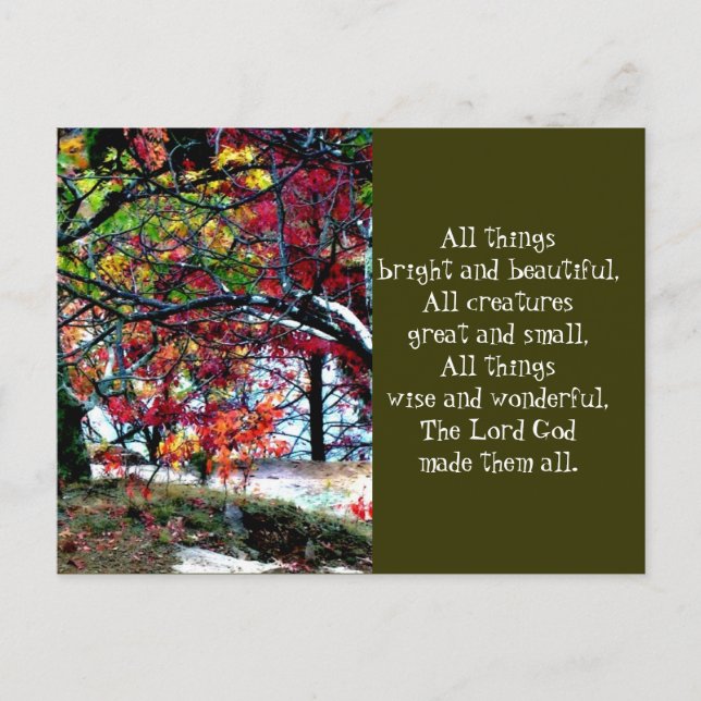 Alla Sak-ljusa och vackra Vykort (Framsida)