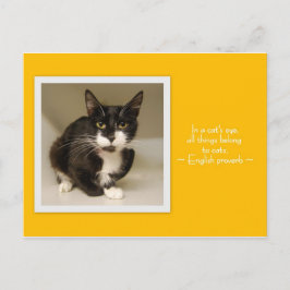 Alla Sak som tillhör Kats vykort