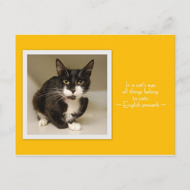 Alla Sak som tillhör Kats vykort (Framsida)