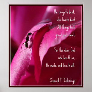 Alla skapelser Underbara och små Poster