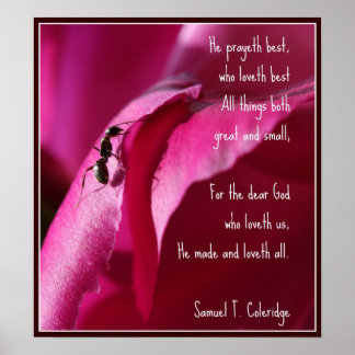 Alla skapelser Underbara och små Poster