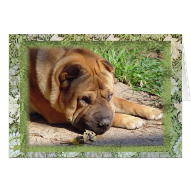 Alla som jag har, är minnen hälsningskort (Framsidan Horizontal)