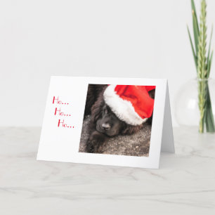 Alla som kläs för jul helgkort