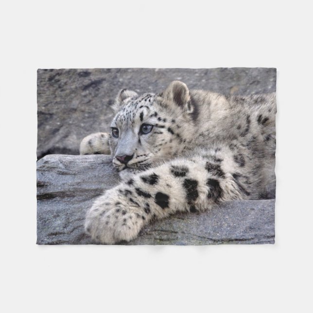 Alla som ut lekas, skinnar filten fleecefilt (Framsidan (Horisontell))