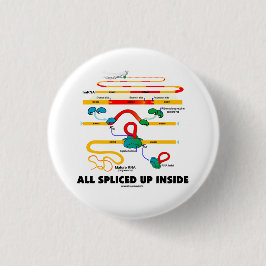 Alla splitsade upp insida (att splitsa för RNA) Knapp