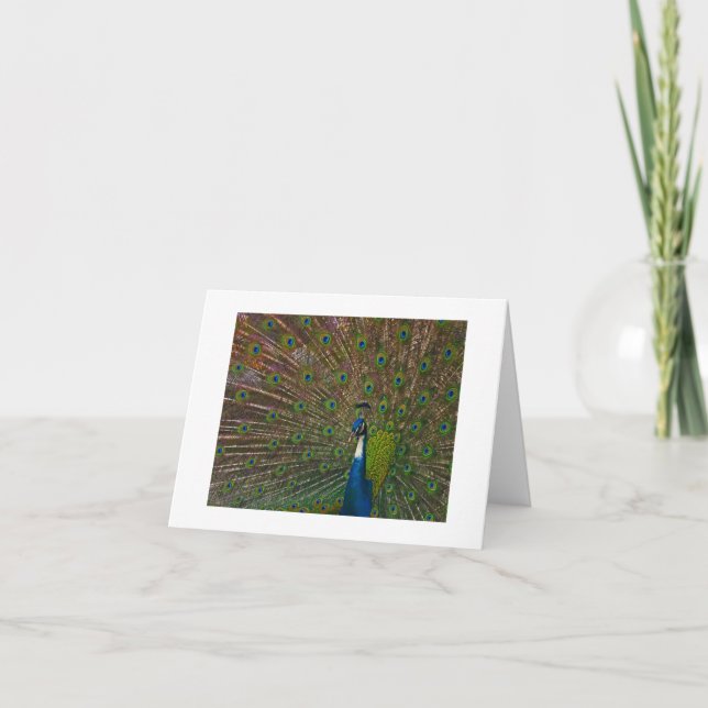 Alla Tillfälle-kort Kort (Framsida)