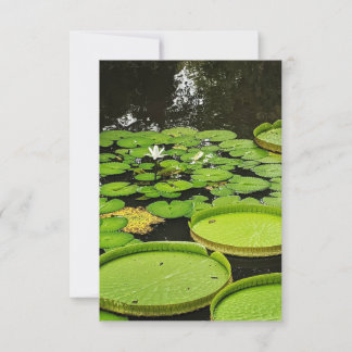 Alla Tillfälle-kort Tack Kort