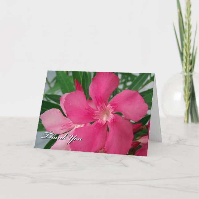 Alla Tillfälle Tack Rosa Oleander Flowers (Framsida)