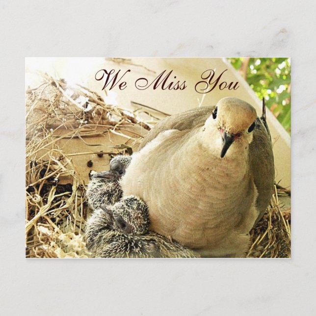 Alla-tillfällen_ Vykort (Framsida)