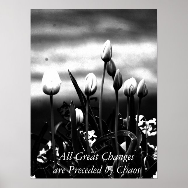 Alla Underbara ändringar Poster (Framsidan)