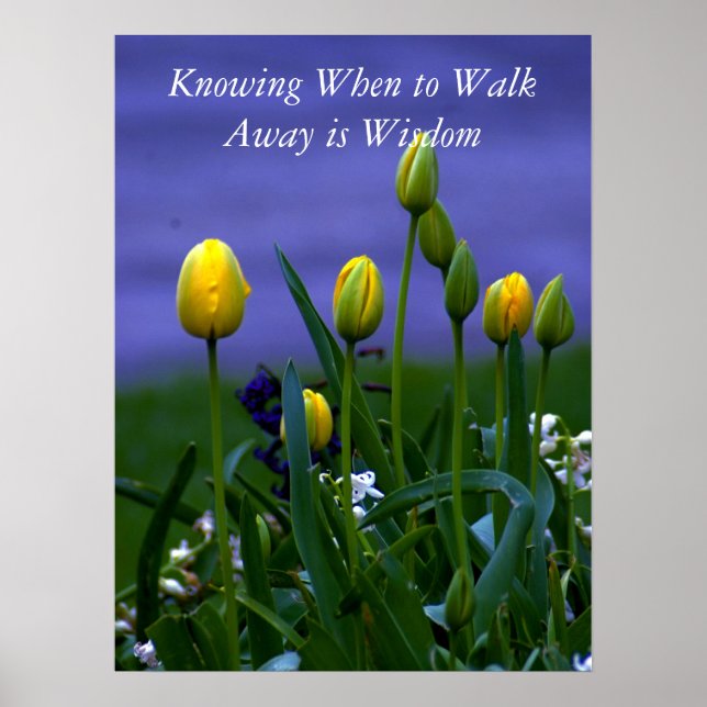 Alla Underbara ändringar Poster I (Framsidan)