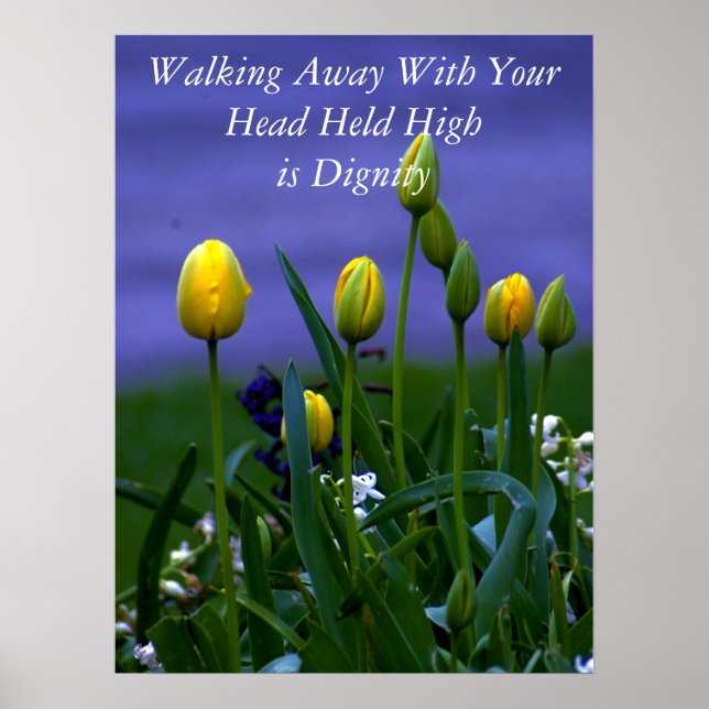 Alla Underbara ändringar Poster III (Framsidan)