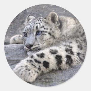 Alla uppspelade utsetiketter runt klistermärke