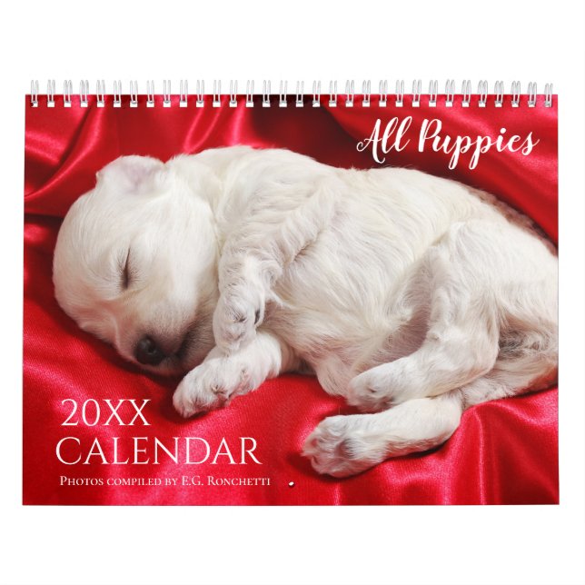 Alla valpar 2025 års kalender för valpens Hund (Omslag)