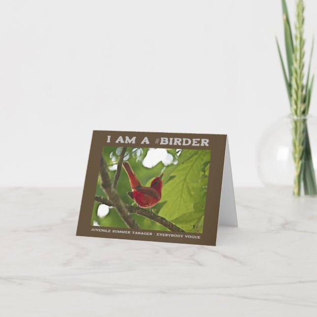 Alla Vogue Juvenile Summer Tanager Birder Kort (Framsida)
