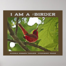 Alla Vogue Juvenile Summer Tanager Birder Poster