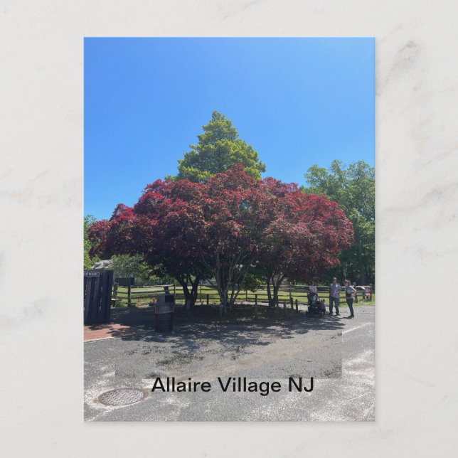 Allaire Village NJ Vykort (Framsida)