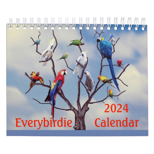Allbirdie 2024-kalender kalender (Omslag)