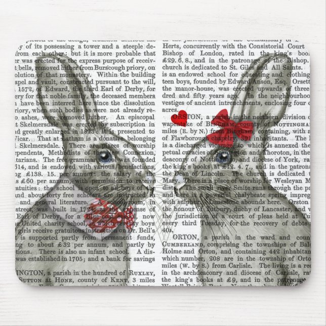 Allbunny Musmatta (Framsidan)