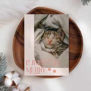 Alldeles fint Cat Photo Peach-julen Julkort