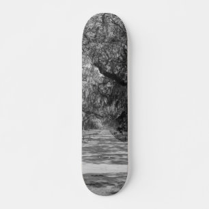 Allé av ekar gråskala mini skateboard bräda 18,7 cm