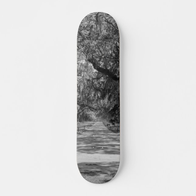 Allé av ekar gråskala mini skateboard bräda 18,7 cm (Framsida)