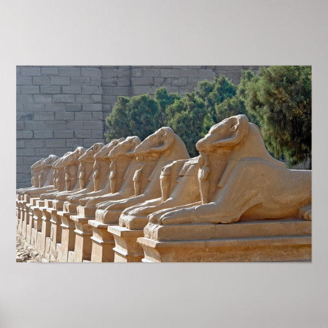 Allé av sfinkser i Karnaktemplet - Egypten Poster (Framsidan)