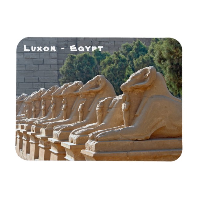 Allé med sfinkar i Karnaktemplet - Egypten Magnet (Horisontell)