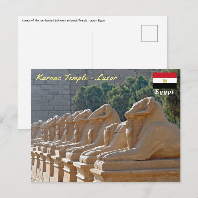 Allé med sfinkar i Karnaktemplet - Egypten Vykort (Fram/baksida)