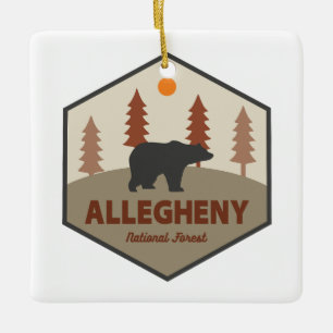 Allegheny National Forest Björn Julgransprydnad Keramik