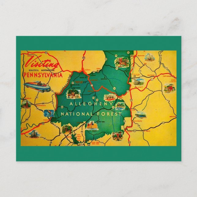 Allegheny National Forest Vykort (Framsida)