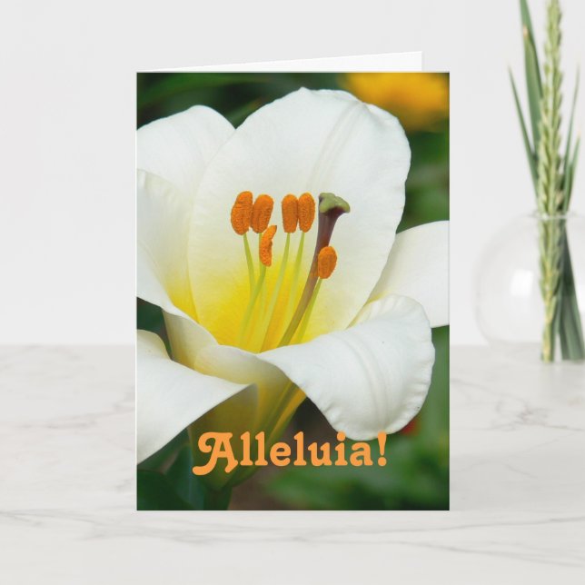 "ALLELUIA" / WHITLILY PÅSK-KORT HELGKORT (Framsida)