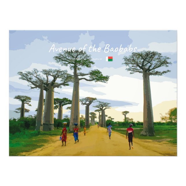 Allén av Baobabträd, Madagaskar - Landskap Fototryck (Framsidan)