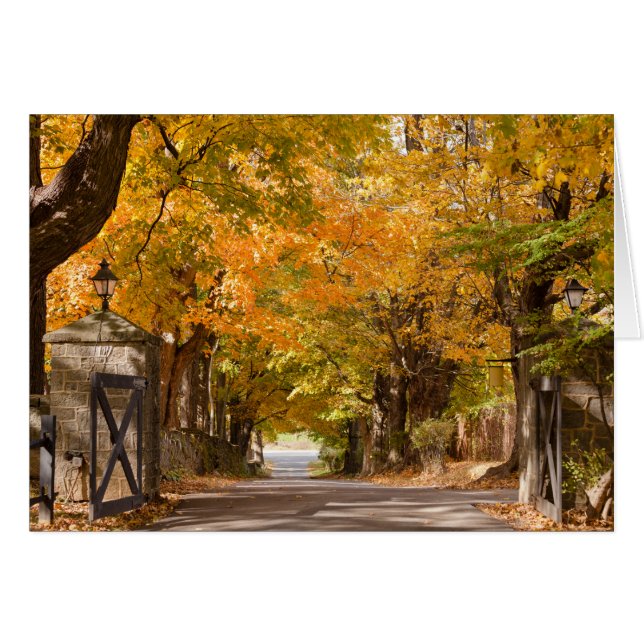 Allenberry semesterortdrev hälsningskort (Framsidan Horizontal)