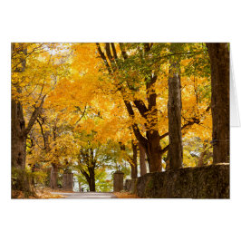 Allenberry semesterorttillträde hälsningskort