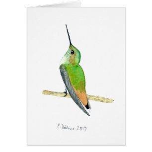 Allens Hummingbird Hälsningskort