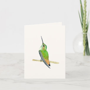 Allens Hummingbird Kort