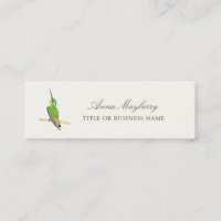 Allens Hummingbird
