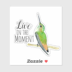 Allens Hummingbird Sticker Klistermärken