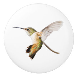 Allens Hummingbirdknopp Knopp