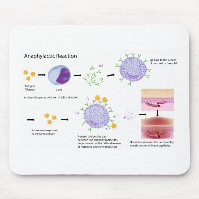 Allergi Mousepad för medicinsk fakultet Musmatta (Framsidan)