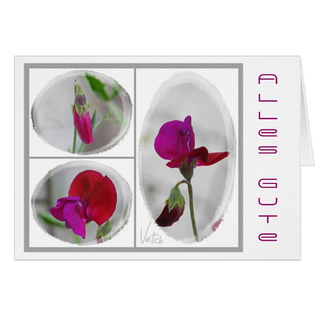 Alles Gute Hälsningskort (Framsidan Horizontal)